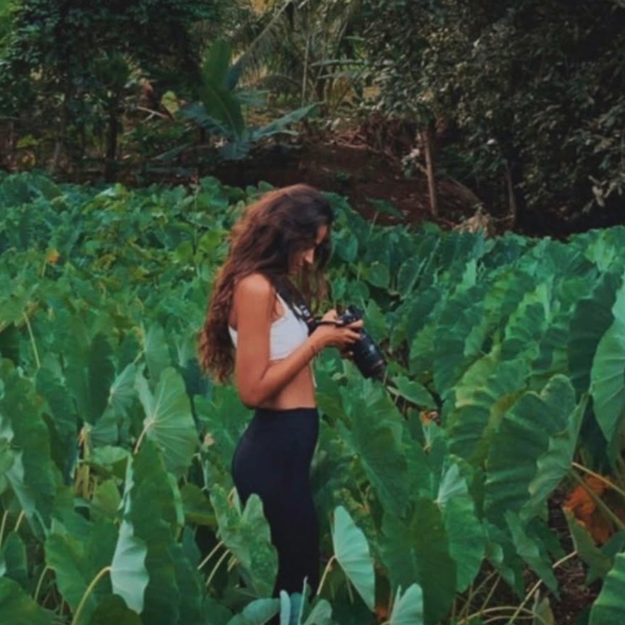 Taina Perolini